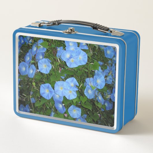 「朝顔！」 メタルランチボックス (正面)