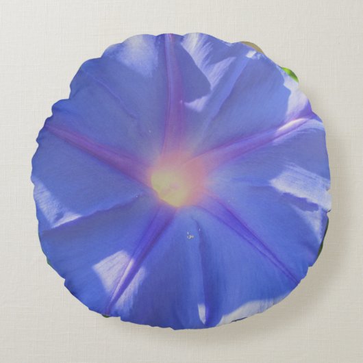 朝顔 ラウンドクッション (正面)