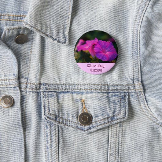 朝顔 缶バッジ (インサイチュ)