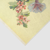 朝顔 薄葉紙 (詳細)