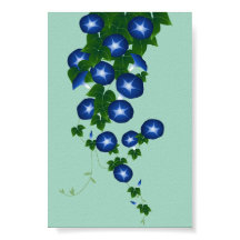 朝顔,青磁色,朝顔,朝顔,浅緑