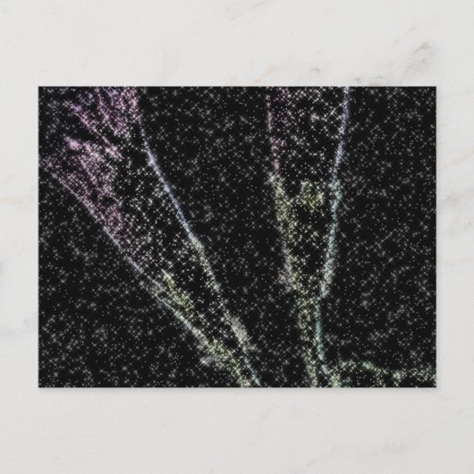 朝顔_1f ポストカード (正面)