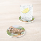 朝飛行の斑点を付けられたフクロウ コースター (側面)