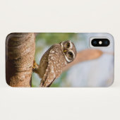 朝飛行の斑点を付けられたフクロウ Case-Mate iPhoneケース (裏面(横))