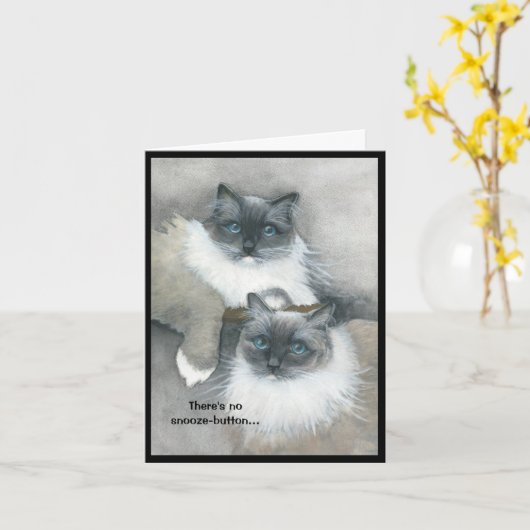 朝食が欲しい猫たち カード (黄色い花)