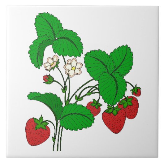 朝食のイチゴ タイル (正面)