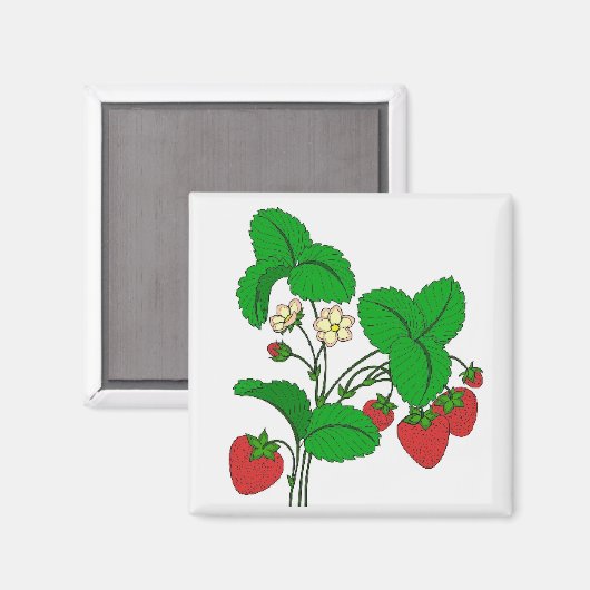 朝食のイチゴ マグネット (正面/裏面)