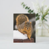 朝食の準備ができている ポストカード (スタンド正面)