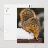 朝食の準備ができている ポストカード (正面/裏面)