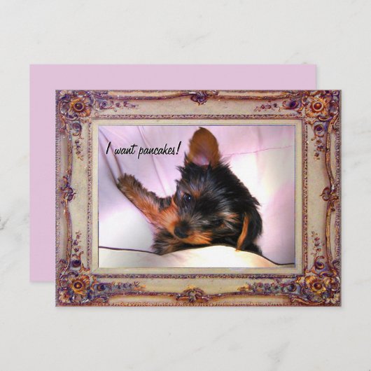 朝食をベッドヨークシャーテリアで? ポストカード (正面/裏面)