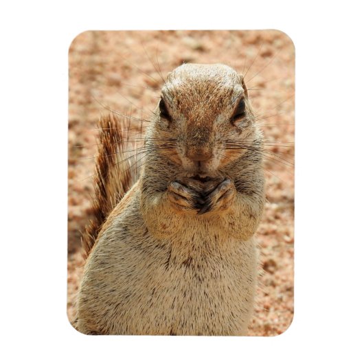 朝食を持つリス マグネット (縦)