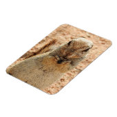 朝食を持つリス マグネット (左側)