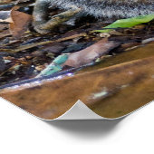 朝食ポスターを持つ若い女性リス ポスター (角)