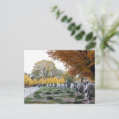 朝鮮戦争記念碑退役軍人 ポストカード (スタンド正面)