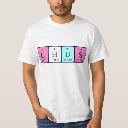 期別表名のシャツ Tシャツ (正面)