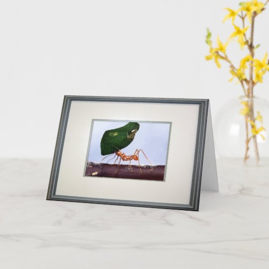 期待の高さ カード (黄色い花)