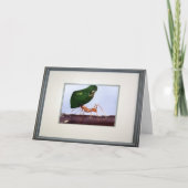 期待の高さ カード (正面)