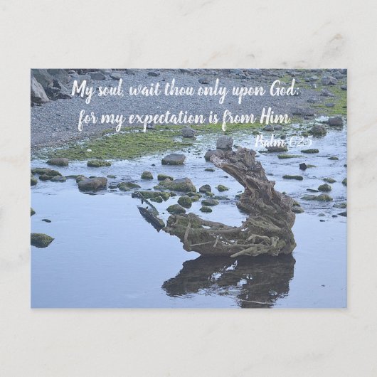 期待！ ポストカード (正面)