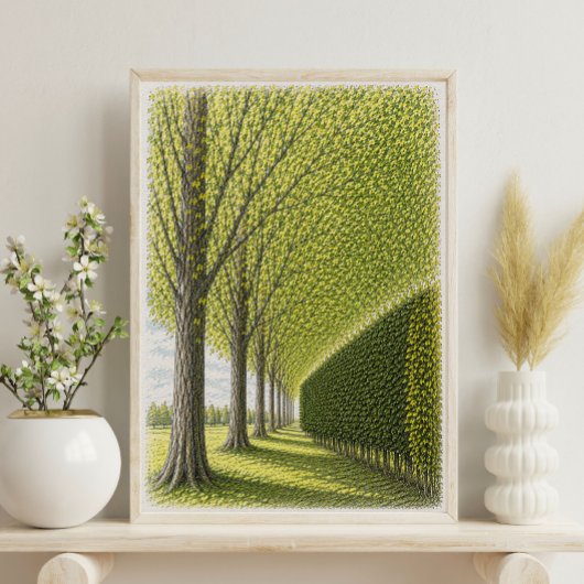 木々が並ぶ小道 | 植物の風景アート ポスター