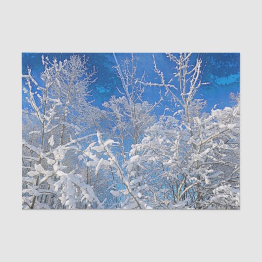 木々が冬の雪に覆われた青い空の下、絵のように美しい景色 薄葉紙 (正面)