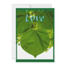 木々が太陽を愛するように