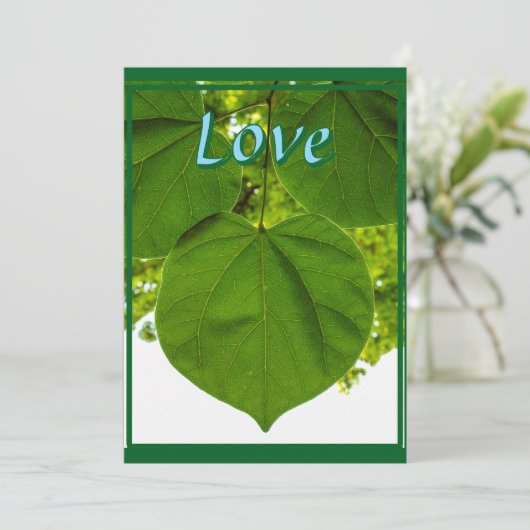 木々が太陽を愛するように サンキューカード (スタンド正面)