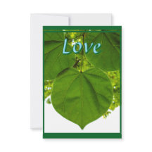 木々が太陽を愛するように