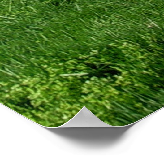 木々が美しい風景 ポスター (角)