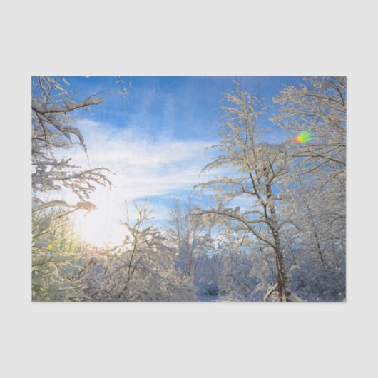 木々が雪に覆われた冬の青空と雲の風景 薄葉紙 (正面)