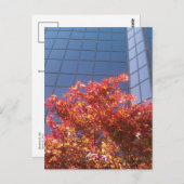 木々とガラス ポストカード (正面/裏面)