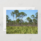 木々とノコギリ ポストカード (正面/裏面)