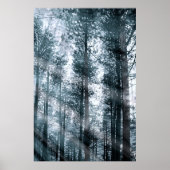 木々と話す… ポスター (正面)