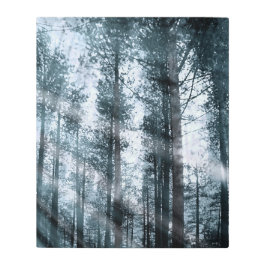 木々と話す… メタルプリント