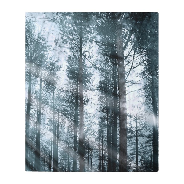 木々と話す… メタルプリント (正面)