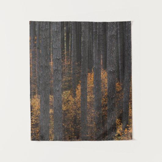 木々と金ゴールドの紅葉 タペストリー (正面)