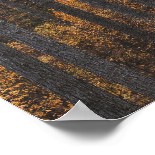 木々と金ゴールドの紅葉 ポスター (角)