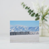 木々と雪と山の冬の風景 ポストカード (スタンド正面)