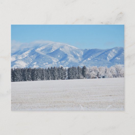 木々と雪と山の冬の風景 ポストカード (正面)