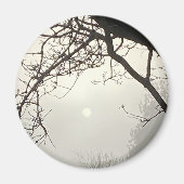木々に囲まれた白い空と太陽のドラマチックな構図 マグネット (正面)