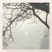 木々に囲まれた白い空と太陽 ガラスコースター (正面)