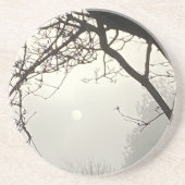 木々に囲まれた白い空と太陽 コースター (正面)