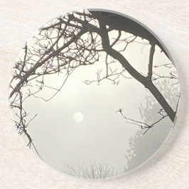 木々に囲まれた白い空と太陽 コースター