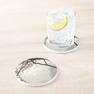 木々に囲まれた白い空と太陽 コースター