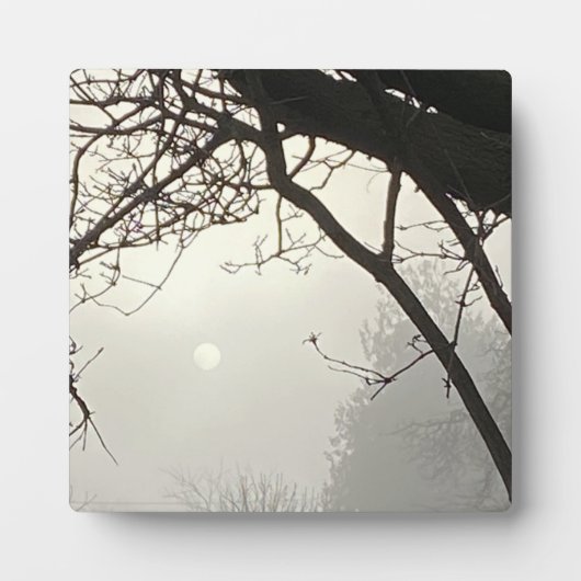 木々に囲まれた白い空と太陽 フォトプラーク (正面)