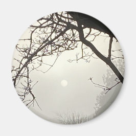 木々に囲まれた白い空と太陽 マグネット