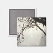 木々に囲まれた白い空と太陽 マグネット (正面/裏面)