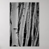 木々に目が付く ポスター (正面)