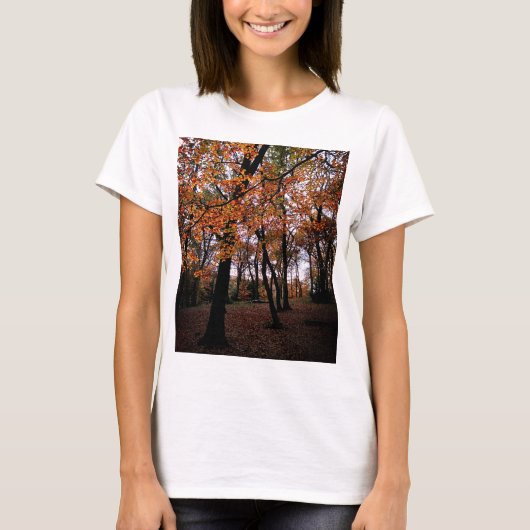 木々に紅葉の様子 Tシャツ (正面)