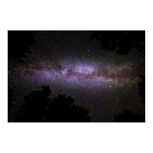 木々のシルエットを持つ天の川