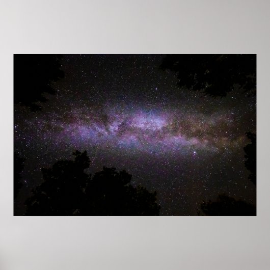木々のシルエットを持つ天の川 ポスター (正面)
